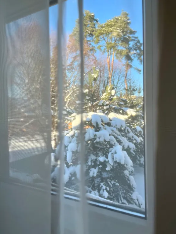 Коттедж Коттедж с баней в Коробицыно — Санкт-Петербург