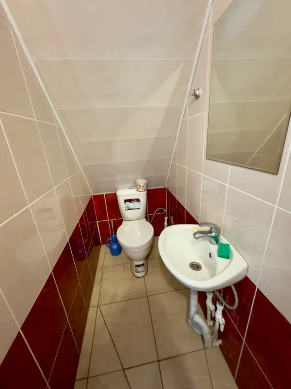 Домик у моря, в единственном лиановом лесу в России