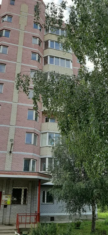 Квартира Квартира Трешка с видом на лес — Александров