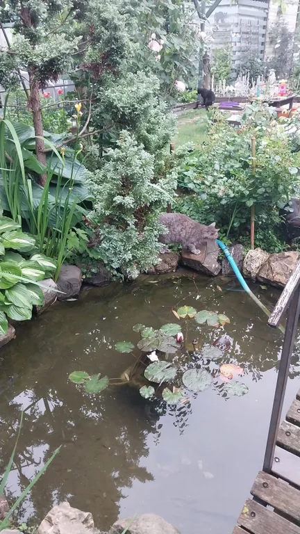 Коттедж 1-комнатный Дом — Архипо-Осиповка