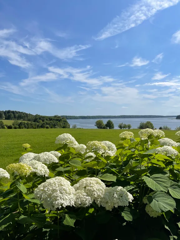 Дом с баней на берегу реки Волга с большой территорией