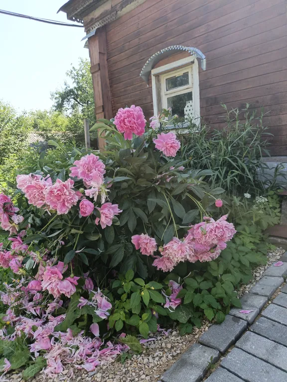 Деревенская изба на тихой улочке