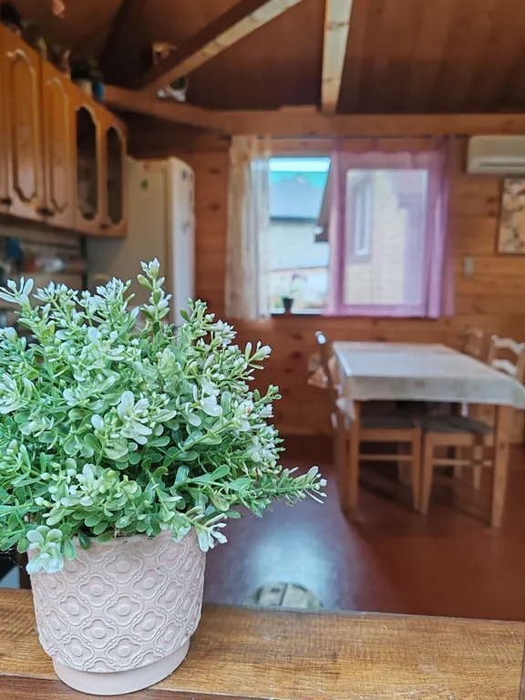 Коттедж Уютный дом в 300 метрах от моря для большой семьи или компании друзей — Нижняя Хобза