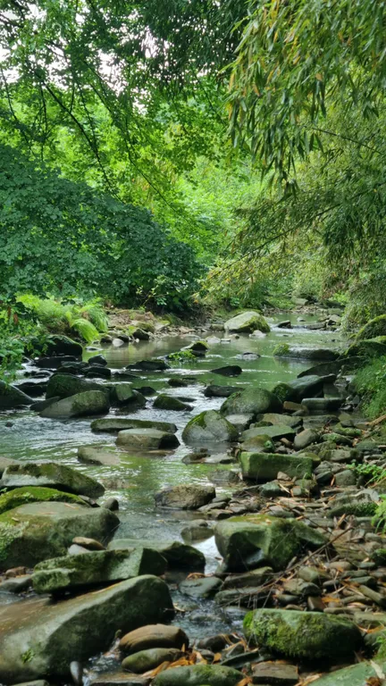 Квартира Квартира Евро-двушка в Адлерском районе — Адлер