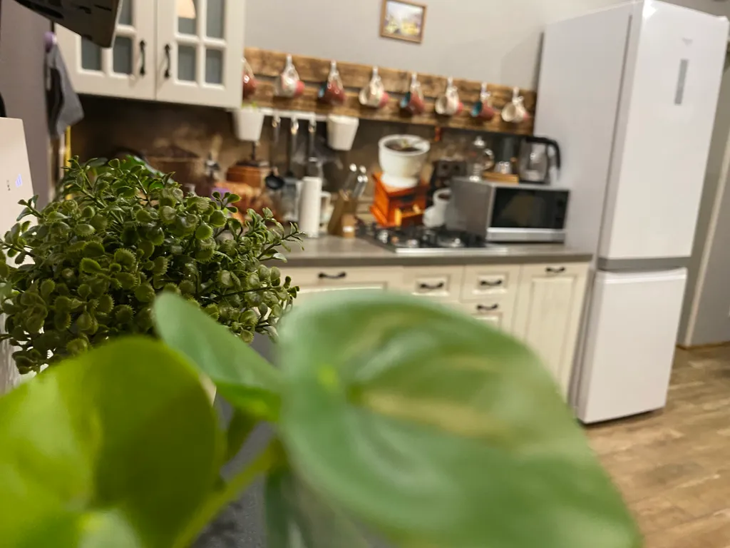 Шале у всесезонного курорта Игора и Игора драйв