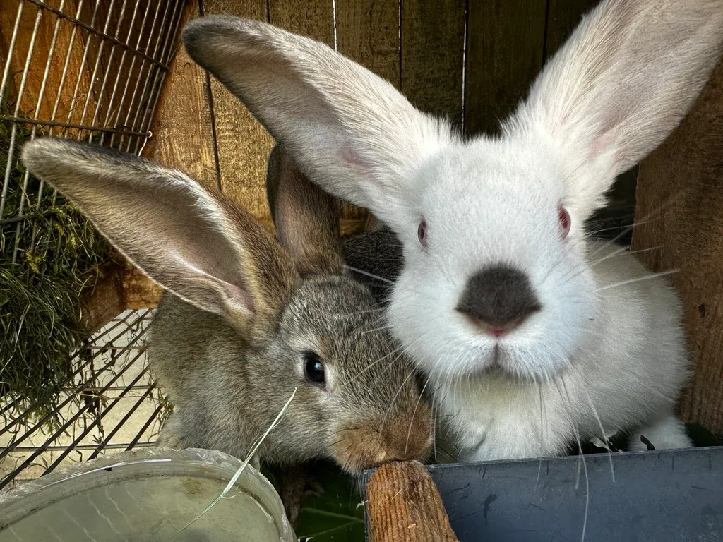 Квартира Комната — Брест