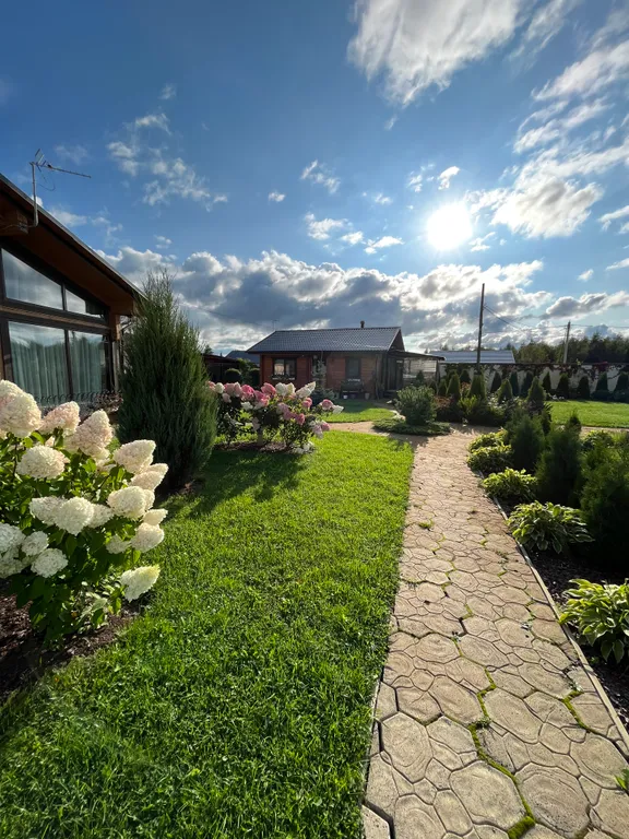 Карпин пруд 2