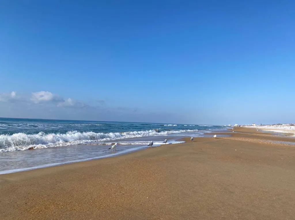 Квартира 1-комнатная Квартира — Витязево