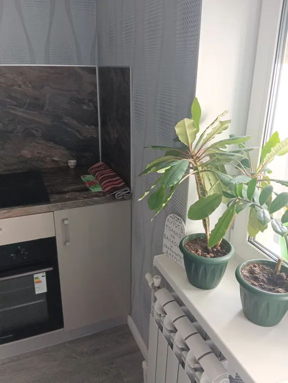 Новая квартира