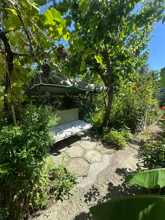 Уютный домик в лесу