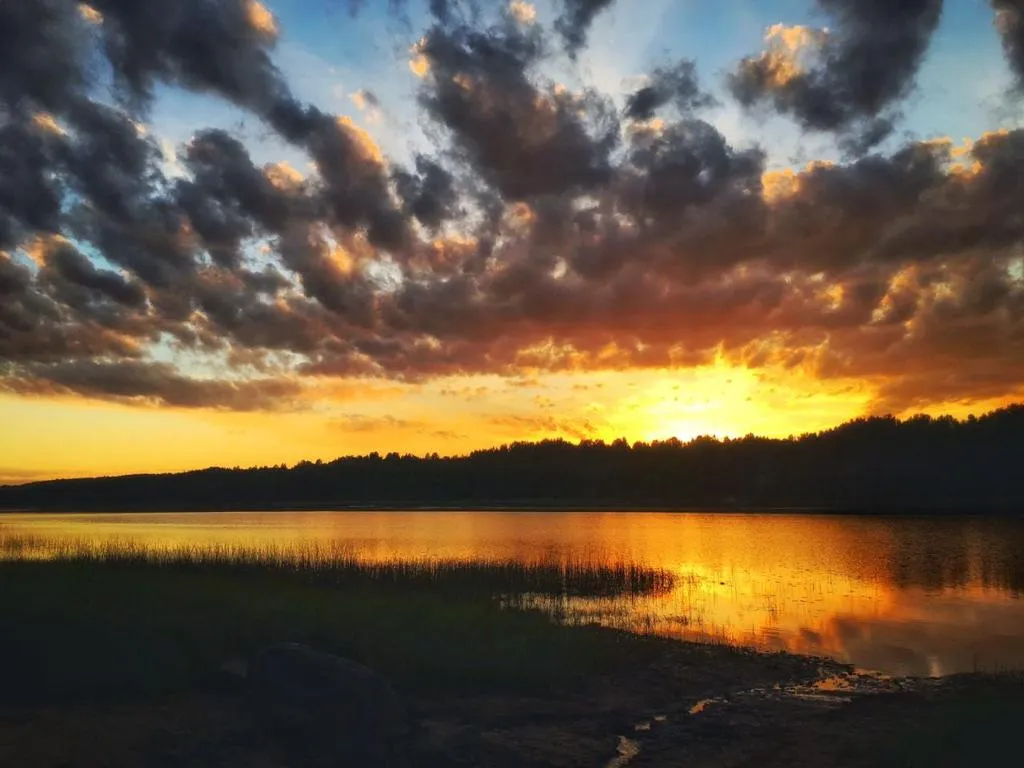 Коттедж Коттеджи у озера — Луга