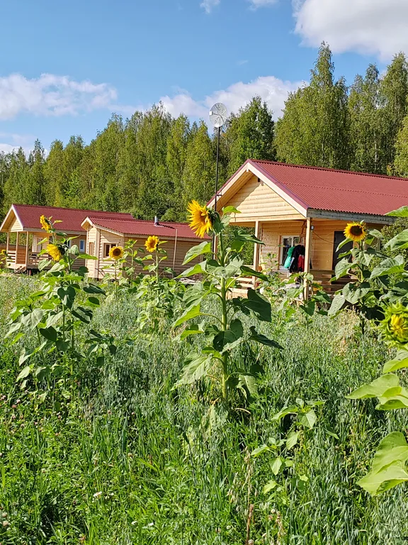 Коттедж Дом с видом на лес база Карловка — Чудово