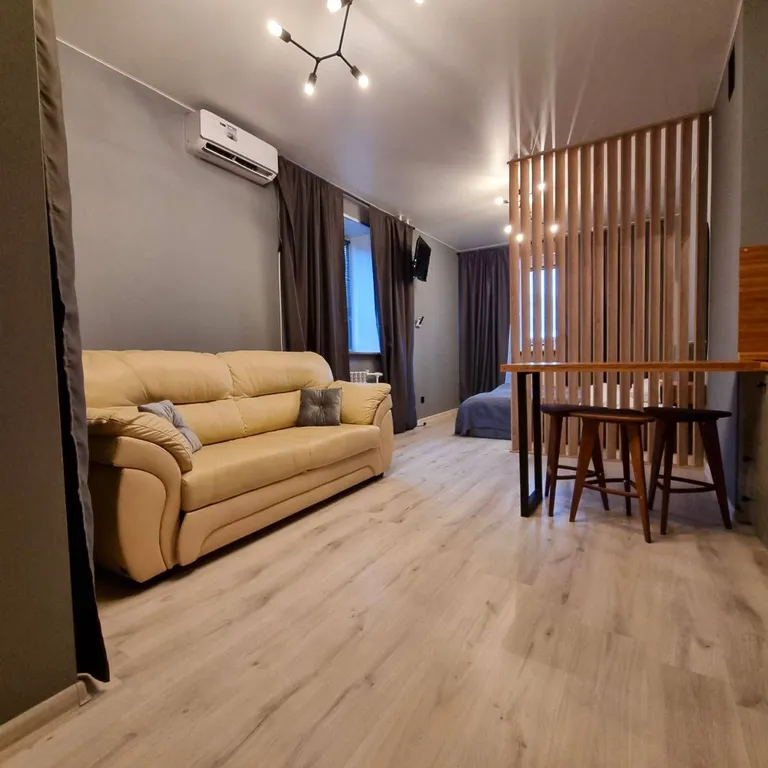 Квартира студия с видом на парк