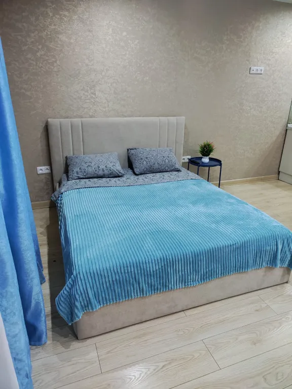 Уютная студия в центре города