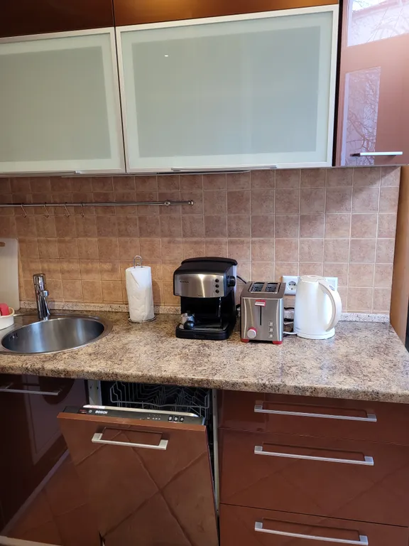 Двухуровневая 5-комнатная квартира в центре Амалиенау с зоной барбекю