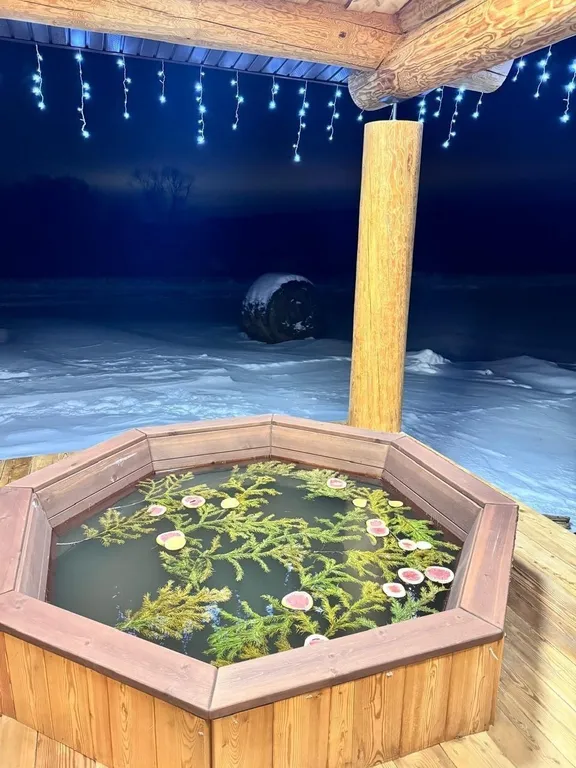 Банный комплекс, баня на дровах