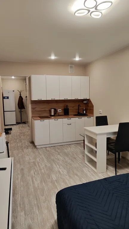 Уютная студия у метро Парнас