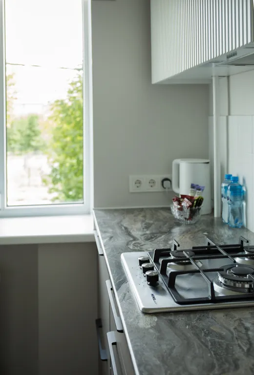 Квартира с французским настроением в центре города