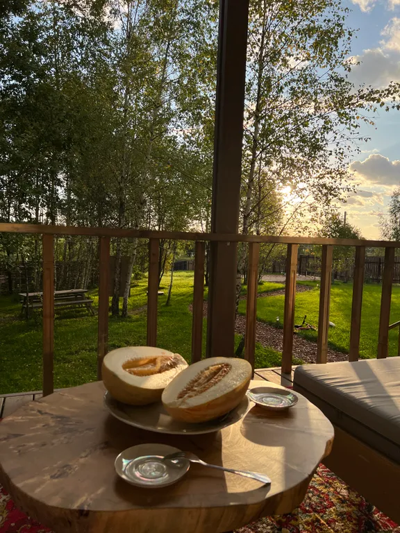 Гостевой дом в березовой роще