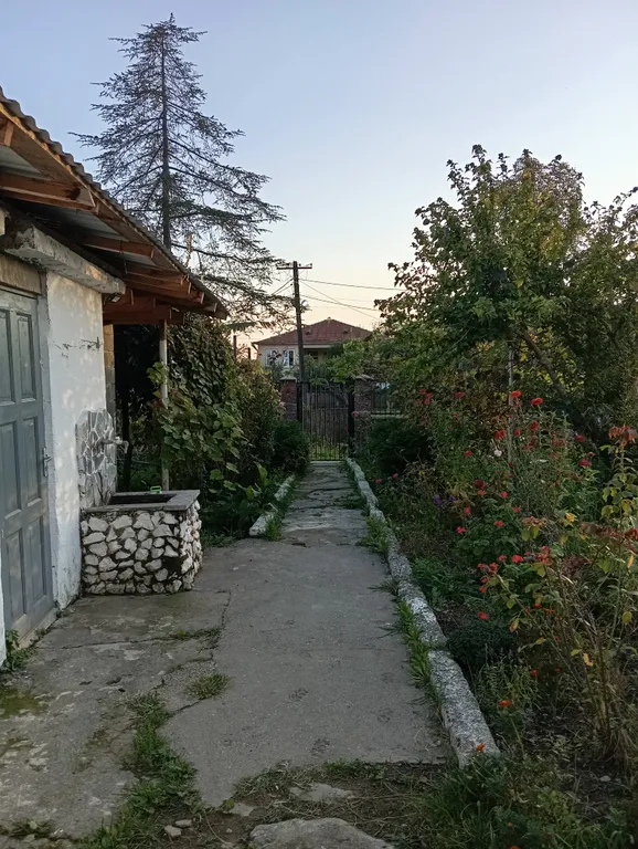 Квартира Уютная квартира-апартамент в с. Лдзааа — Рапица