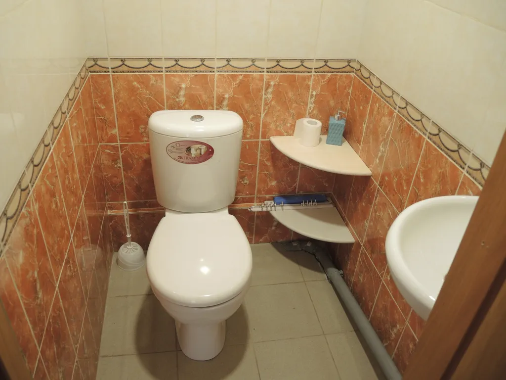 Коттедж Коттедж в деревне с сауной — Ропша