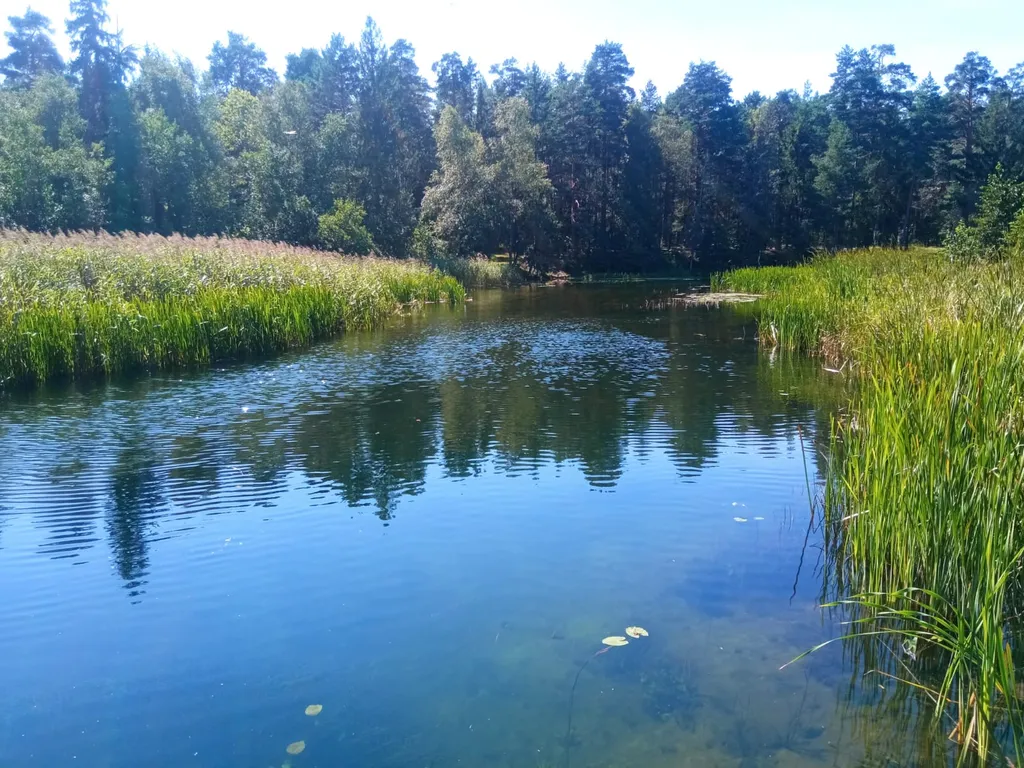 Дом у реки со своим мостком