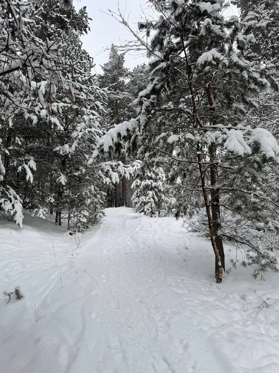 Коттедж Уютный домик в лесу — Новая