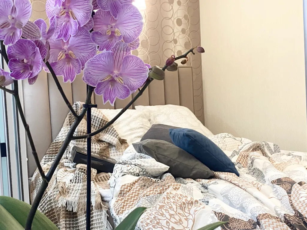 Квартира Апартаменты Preciosa — Симферополь