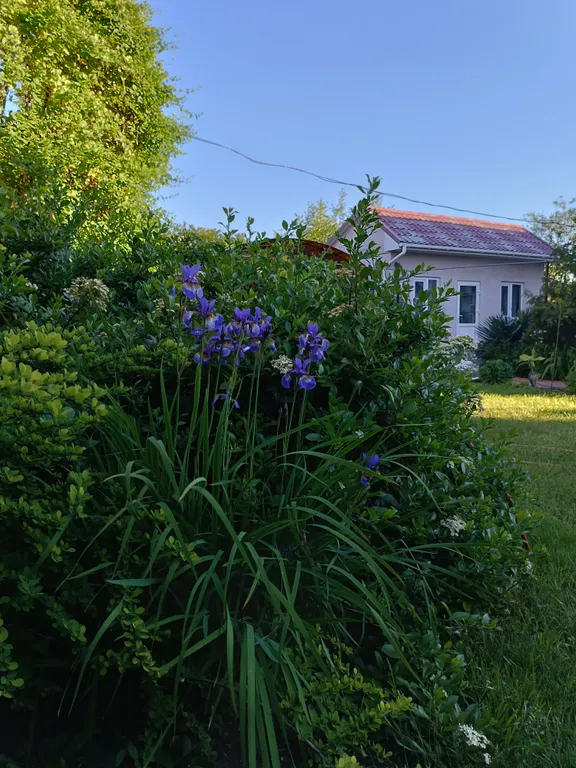 сдается коттедж 2  этажа.130 кв. м, с тремя отдельными комнатами