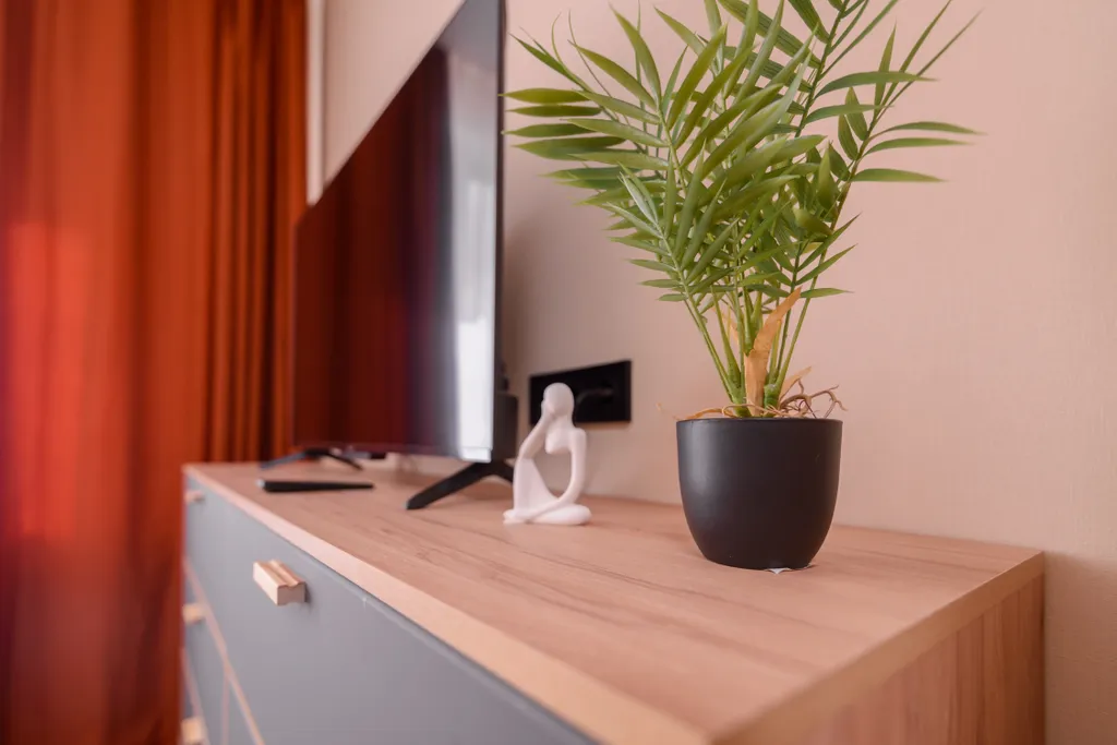 Студия с отчетными документами