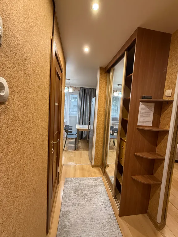 Уютная однокомнатная квартира