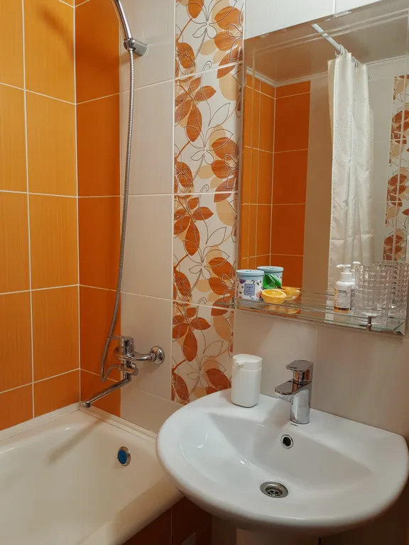 Рыжий Кот возле Парка