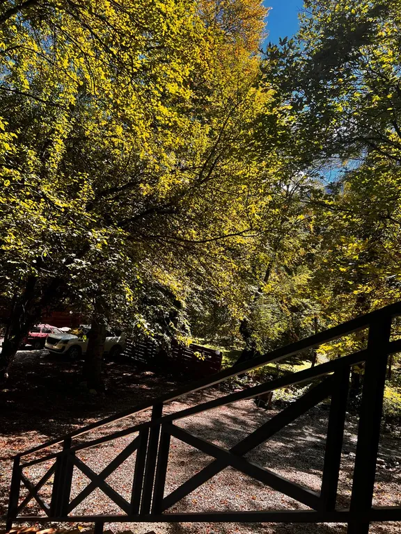 Коттедж Дом в живописном лесу (а-фрейм) — Архыз