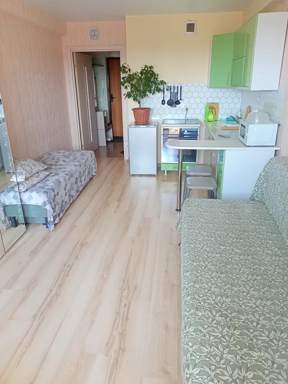 Уютная квартира-студия около тк Петровский