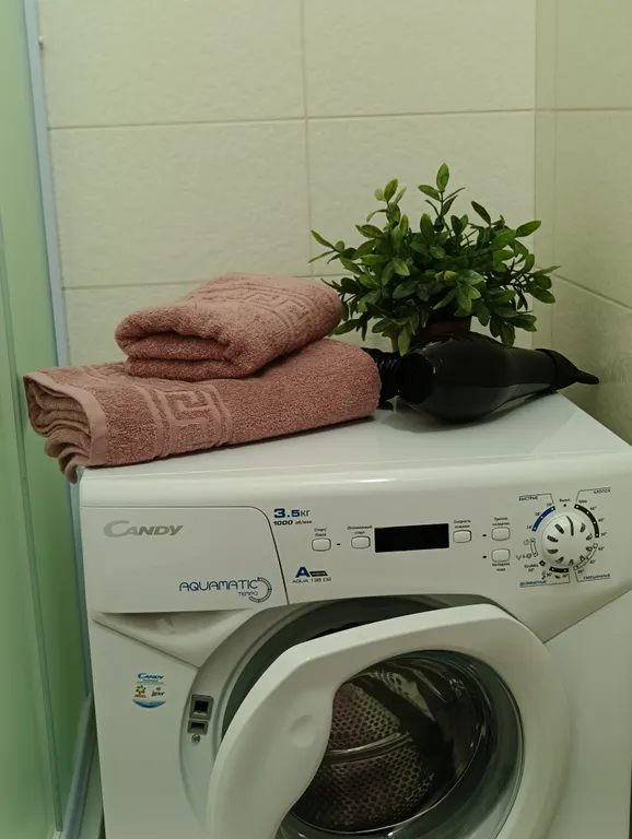 Просторная однушка