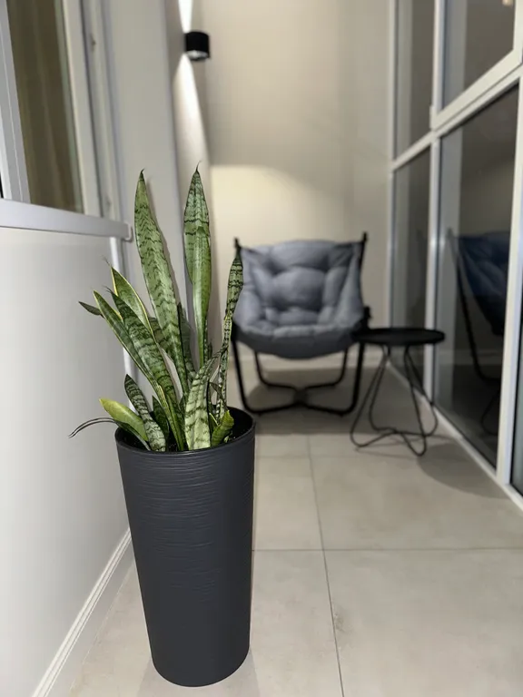 Квартира Квартира Уютная студия с дизайнерским ремонтом рядом с центром — Хабаровск