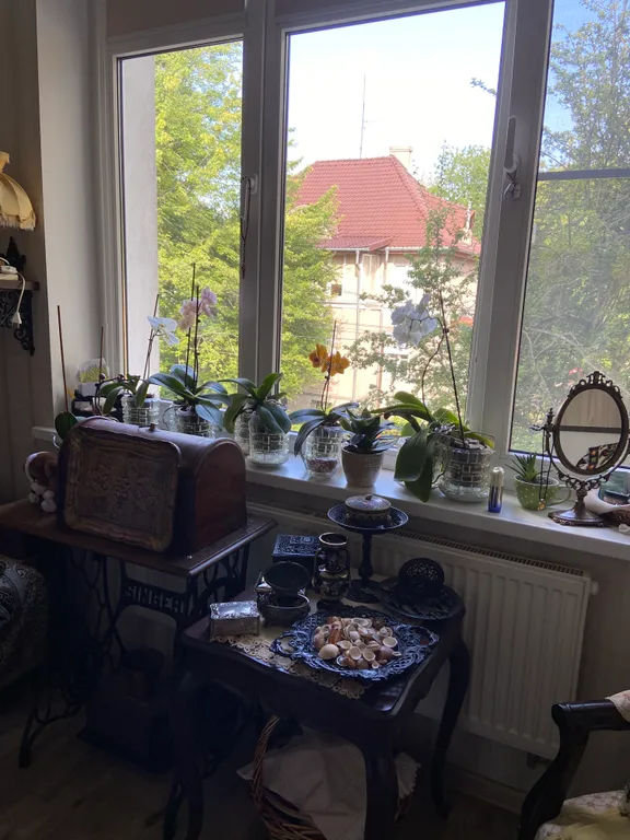 Уютная комната в историческом центре города Амалиенау