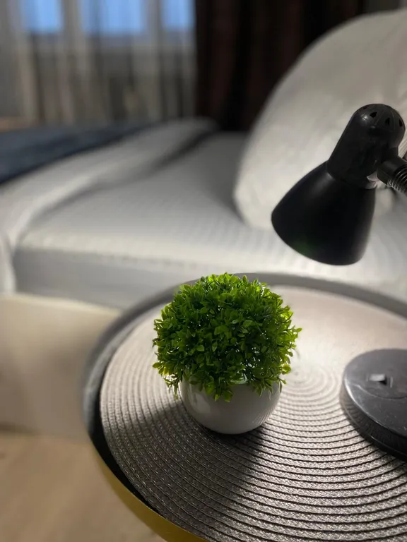 Уютная студия около Нового Зоопарка!