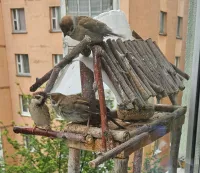 Михаил Владимирович