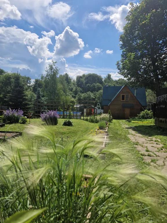 Коттедж Уютный дом с бассейном, с баней, беседка, камин, барбекю — Скоково