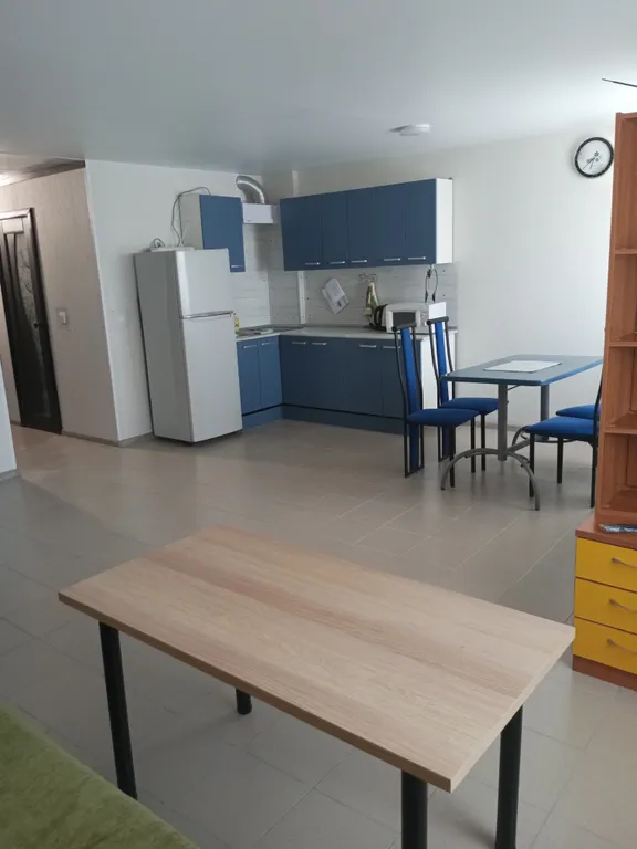 Чистая квартира после ремонта в центре города