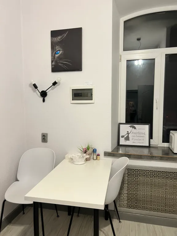 Апартаменты в центре 1-комнатная квартира 1М