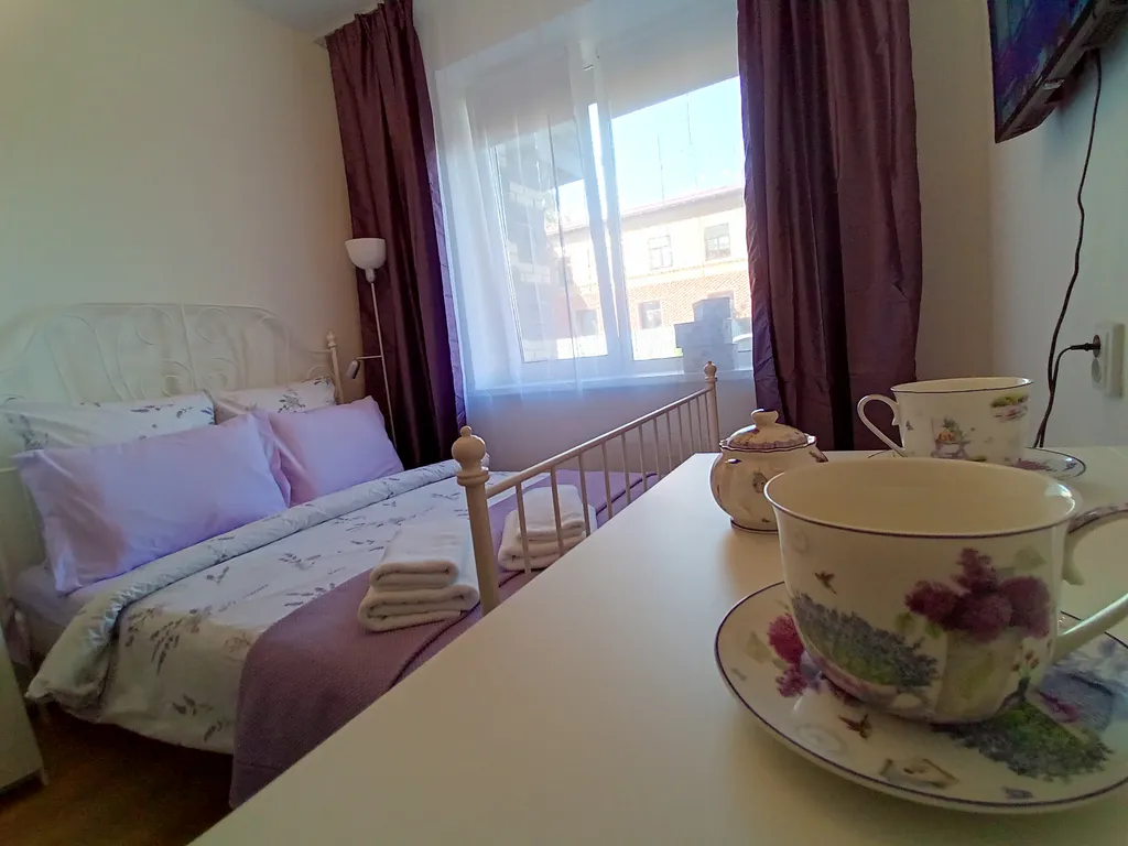 Квартира Квартира Студия рядом с НИИ Петрова — Песочный