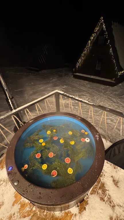 Зеленый дом