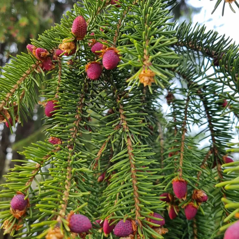 Уютный дом на берегу озера "Прозрачный берег №1"