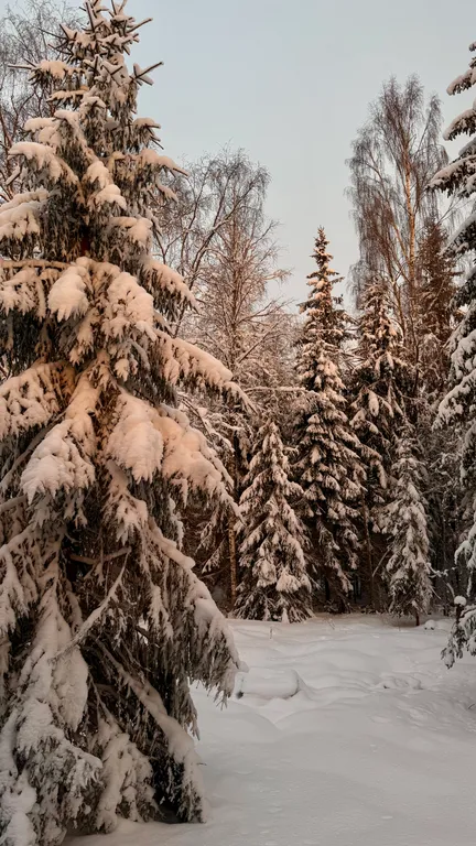 Вилла Бергамо Лаундж