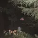Егор