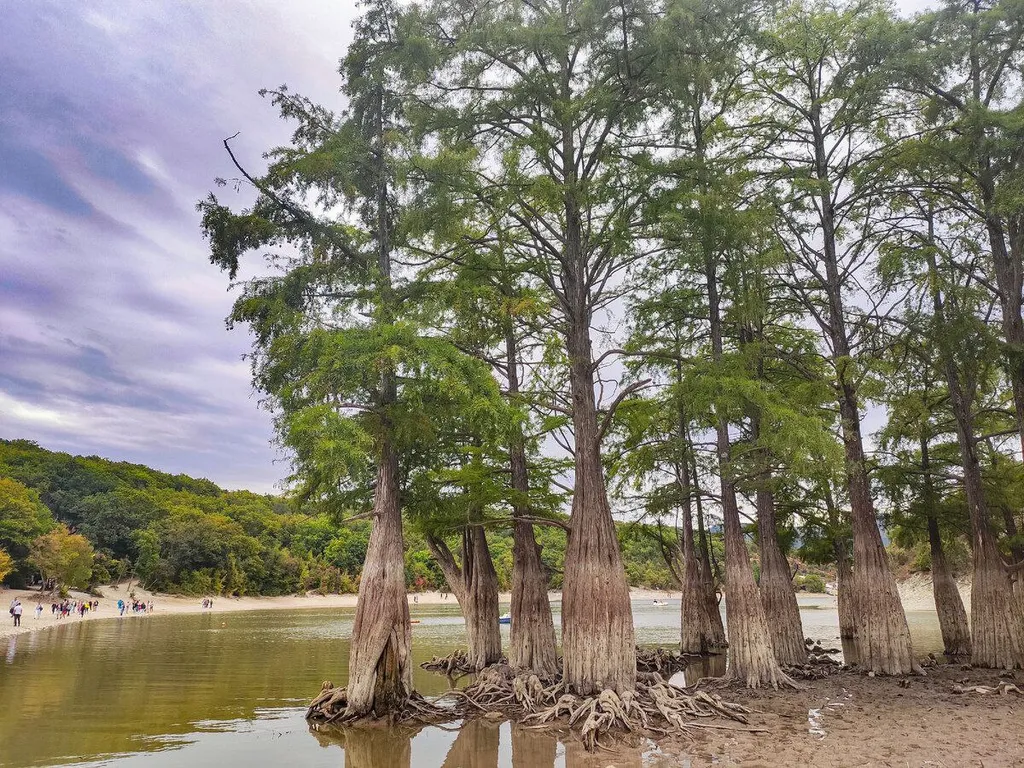 Новая студия-комфорт с бассейном и балконом в ЖК Кипарис Holiday house