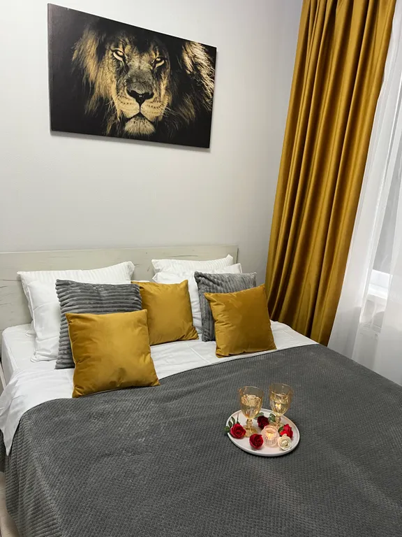 Квартира Квартира Уютная однушка — Светлогорск