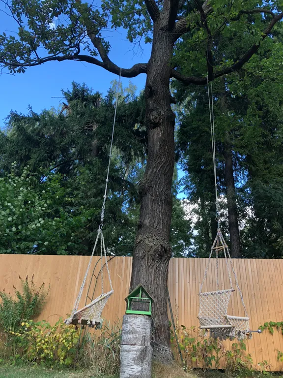 Аленький цветочек